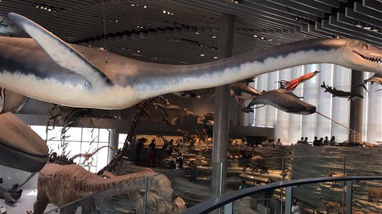 Shanghai Natural History Museum